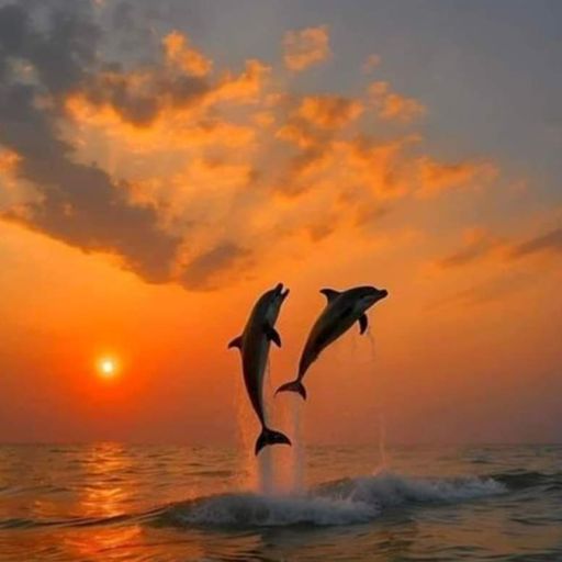 Steve Lewis misty Monday afternoon House session recorded live 09th December 2024