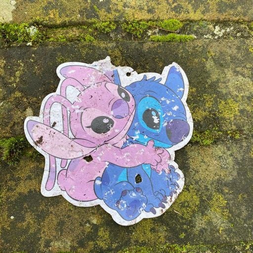 Spinee - 31st January 2026