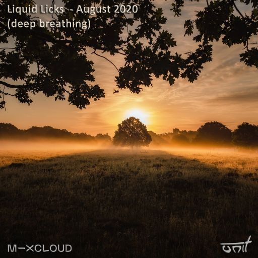 Liquid Licks August - 2020 (Deep Breathing)