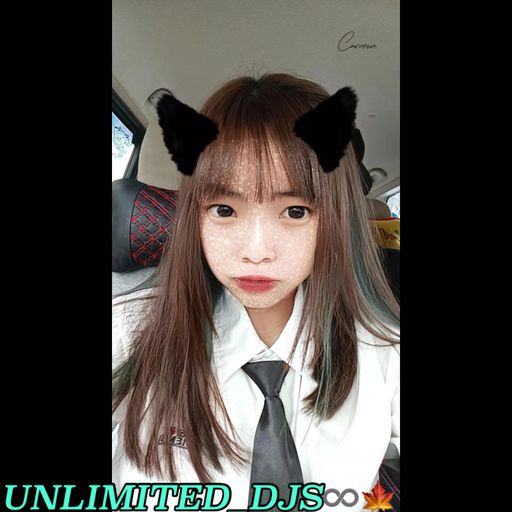 UNLT_DN『Private Request By Carmen』我的Fish飞掉噢●翻转星空●就忘了吧●哪里都是你2.0●落在生命里的光●說說話●曾经你說《DJ_DANI3L 20x2 Mixx》