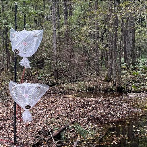 Bo Ningen - 7th October 2025