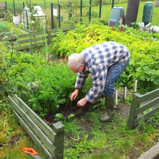 Trending w Urbello M-24 & Dish Next Door