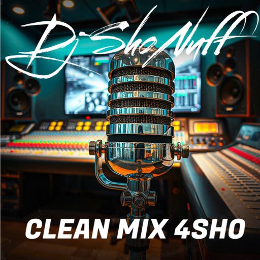 THE CLEAN RAP VIBE 4SHO
