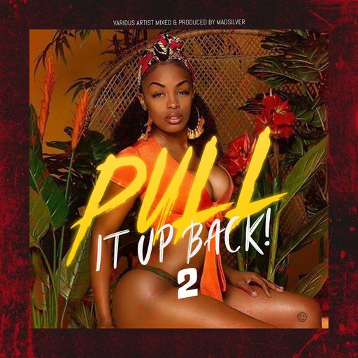 Reggae Mix, Pull It Up Back 2 Ft Heavy Beat Crew, Harry Toddler, Jah Cure, Buju Banton, Capleton