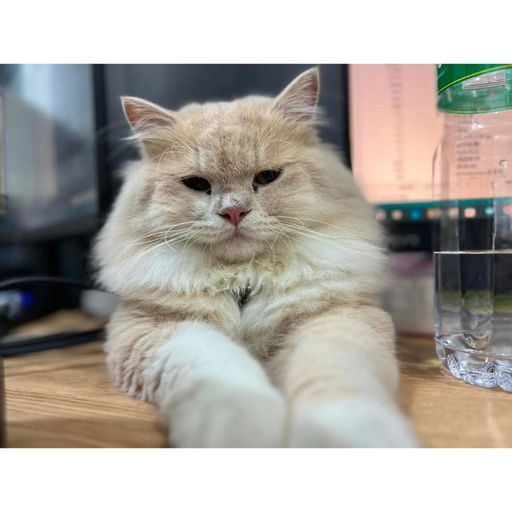 DJ'YE【Michael Private Mix】《鄭潤澤 - 瞬 X 明明就 VS 說謊 VS 淘汰 VS 我落淚情緒零碎 X 葛東琪 - 懸溺 X 於文文 - 體面》Mixtape 2x23