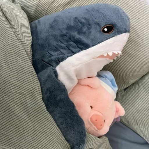 Xiiao 6 专属【想看五月的晚霞x过客x最好的安排x毒药x记忆停留x恶作剧】DJ HoLend 2023 Remix