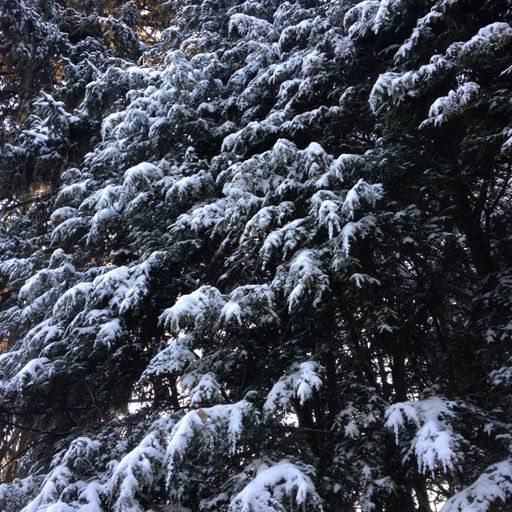 I'm still over here (Eclectic Playlist Series 6.11)