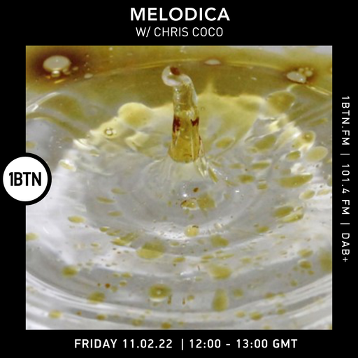 Melodica with Chris Coco - 11.02.2022