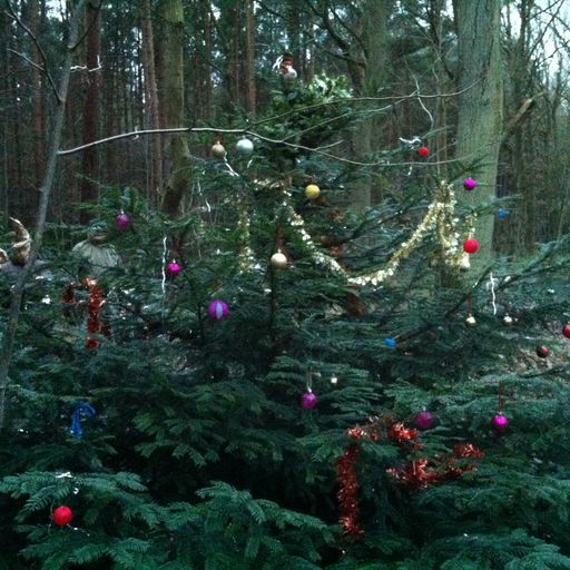 Tat - Purple Radio Post Xmas Turkey Curry Podcast