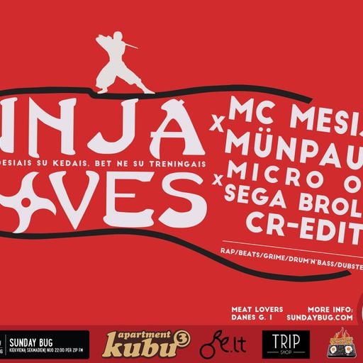 SUNDAY BUG OUT {35} Ninja Moves x2