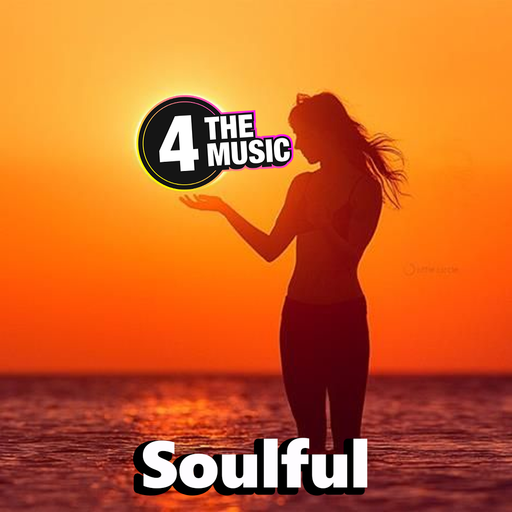 Chris Haines DJ - 4 The Music Exclusive - Soulful House - Pick and Mix