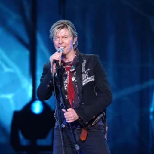 Bowie Live at Entertainment Centre, Sydney, Australia.20 February 2004