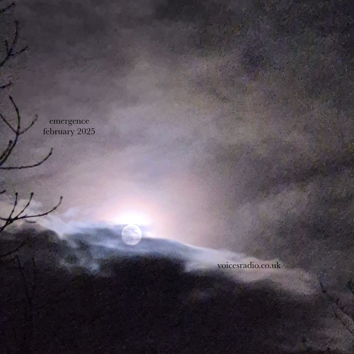 emergence w/ dtyb - 02/02/25 - Voices radio