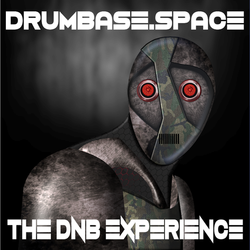 dnb experience 06/07/2019