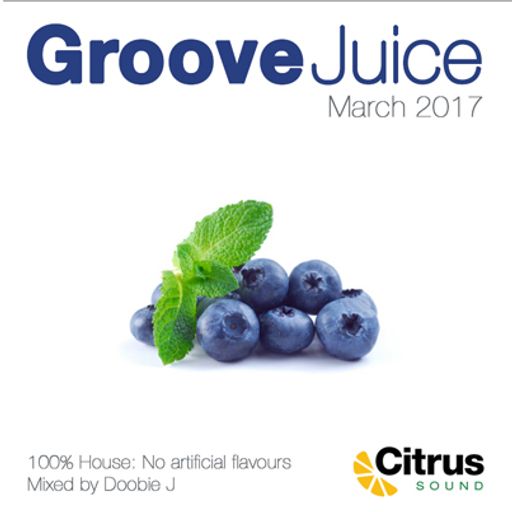 Groove Juice Blueberry - March 2017