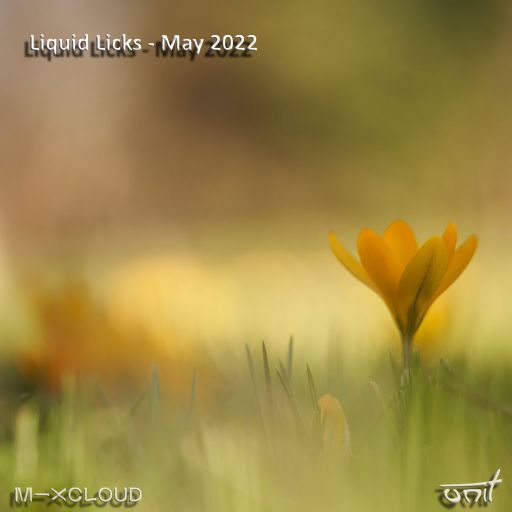 Liquid Licks - May 2022