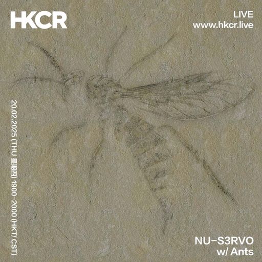 NU-S3RVO w/ Ants - 20/02/2025