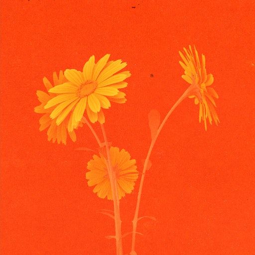 Peak Time – Where Were You In ’99?