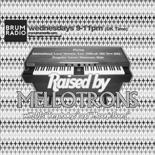 Raised By Mellotrons with DJ Masonic Boom: Bardic Boom Time (19/12/2018)