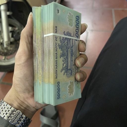 NST - Đinh Lăng Bát Bộ - Mốc Macao Mix