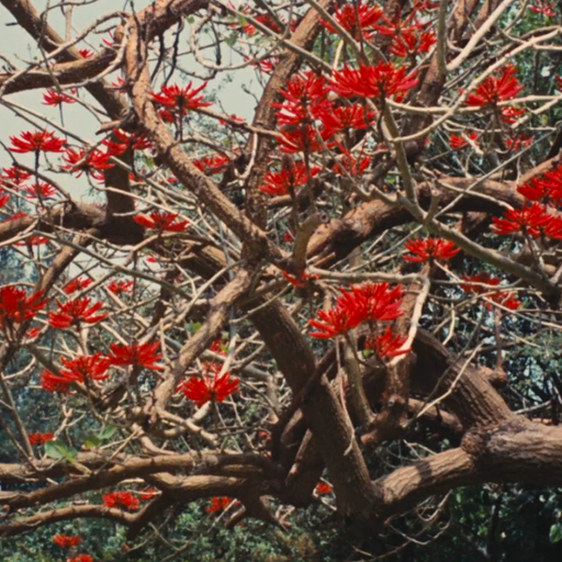 Natalia Panzer - 22nd April 2026