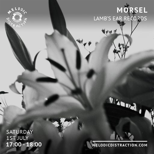 Morsel with Lamb's Ear Records (July 2023)