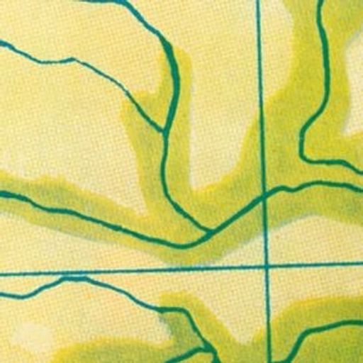 Sleeping Dogs Lie - 16 November 2025 (Brian Eno)