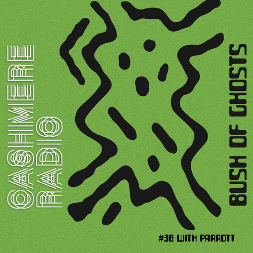 Bush of Ghosts #38 w/ David Tinning and Parrott 20.07.2019