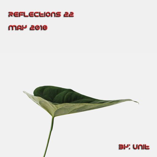 Reflections 22 - May 2018