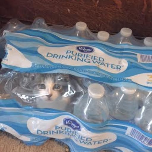 TDC: Late Night - LIVE! on DNBHeaven.com (10/2/15)