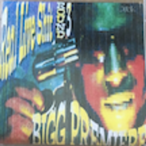 Bigg Premiere - Real Live Shit: Round 3 (1997)