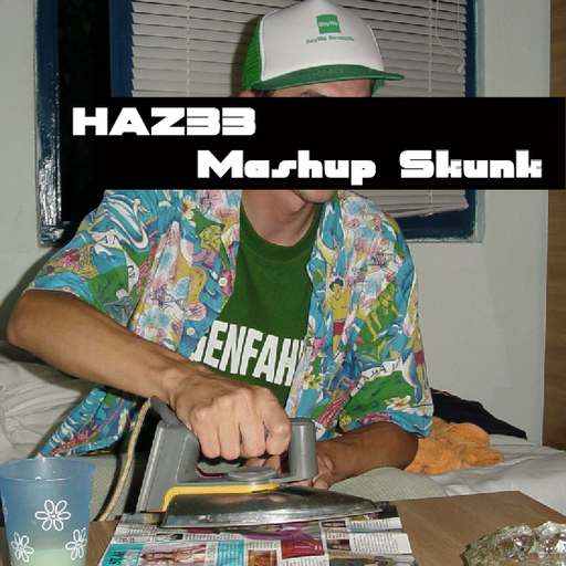 HAZ33 - Mashup Skunk