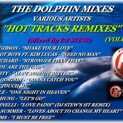 THE DOLPHIN MIXES - VARIOUS ARTISTS - ''HOT TRACKS REMIXES'' (VOLUME 18)