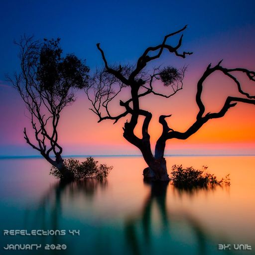 Reflection 44 - January 2020