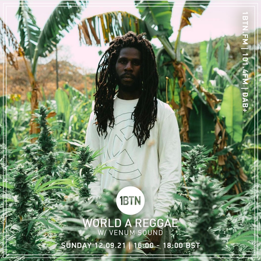World A Reggae with Venum Sound - 12.09.2021