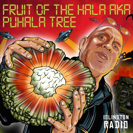 Fruit of the Hala Aka Puhala Tree with Terry Dillon (23/01/2021)