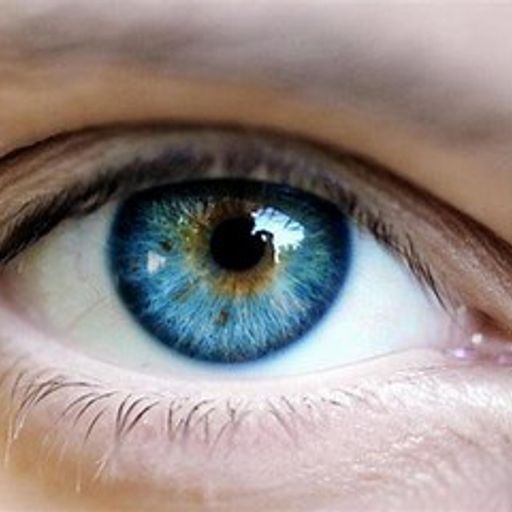 In the Eye of the Beholder (ProgressiveRock)