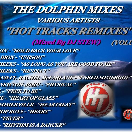THE DOLPHIN MIXES - VARIOUS ARTISTS - ''HOT TRACKS REMIXES'' (VOLUME 20)