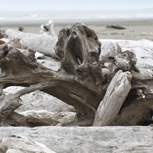 A chance to talk (Eclectic Playlist Series 7.06)