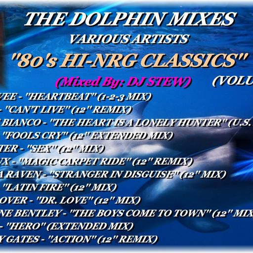 THE DOLPHIN MIXES - VARIOUS ARTISTS - ''80's HI-NRG CLASSICS'' (VOLUME 20)