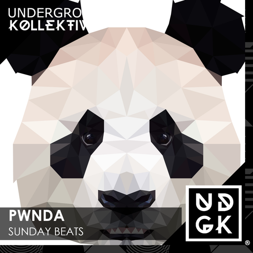 pwnda - pwnda - Sunday Beats - The Dr Mike Warm Up Show (UDGK: 11/12/2022)