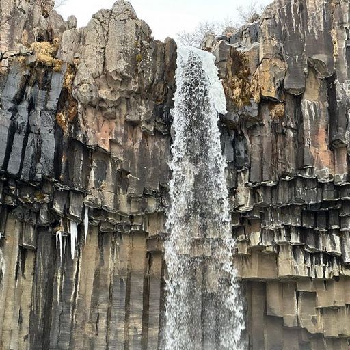 If Music Presents You Need This w/ Jean-Claude - 15th March 2026