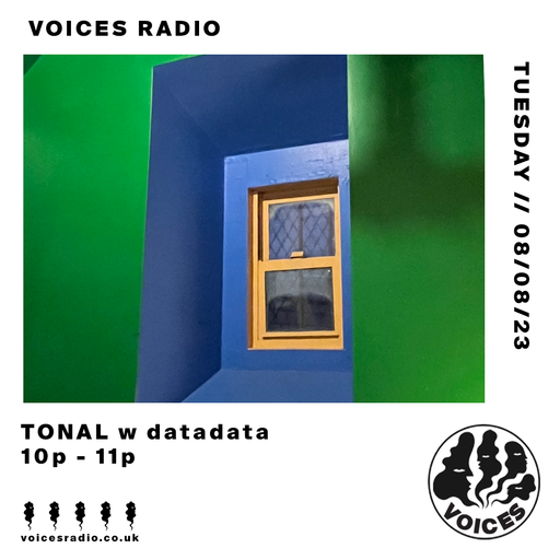 Datadata - 08/08/23 - Voices Radio