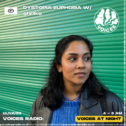 Dystopia Euphoria w/ shrike - 11/12/23 - Voices Radio