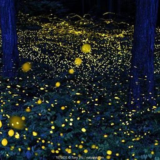 My LateNight Tales part 4