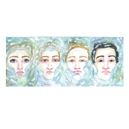 Active Live: Seagull