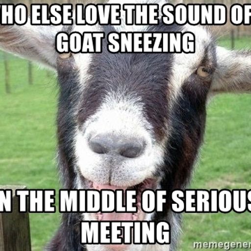 Goatdog - Hayfever Ravefever 8 Jun 21