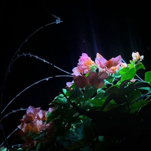 Freewater w/ pr1nc1p3ss4 - 6th March 2026