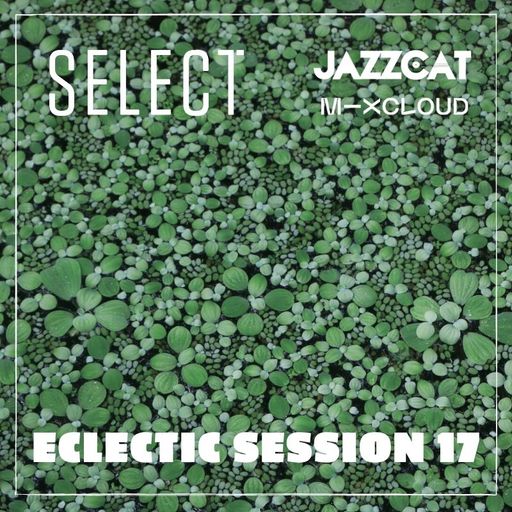 Eclectic session 17