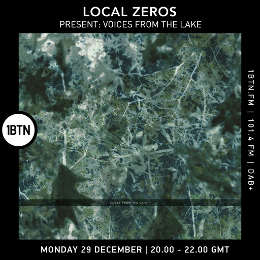 Local Zeros presents Voices From The Lake - 29.12.25